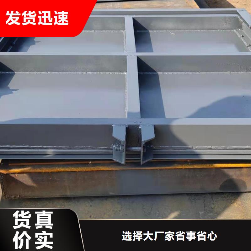 鋼制閘門款式齊全