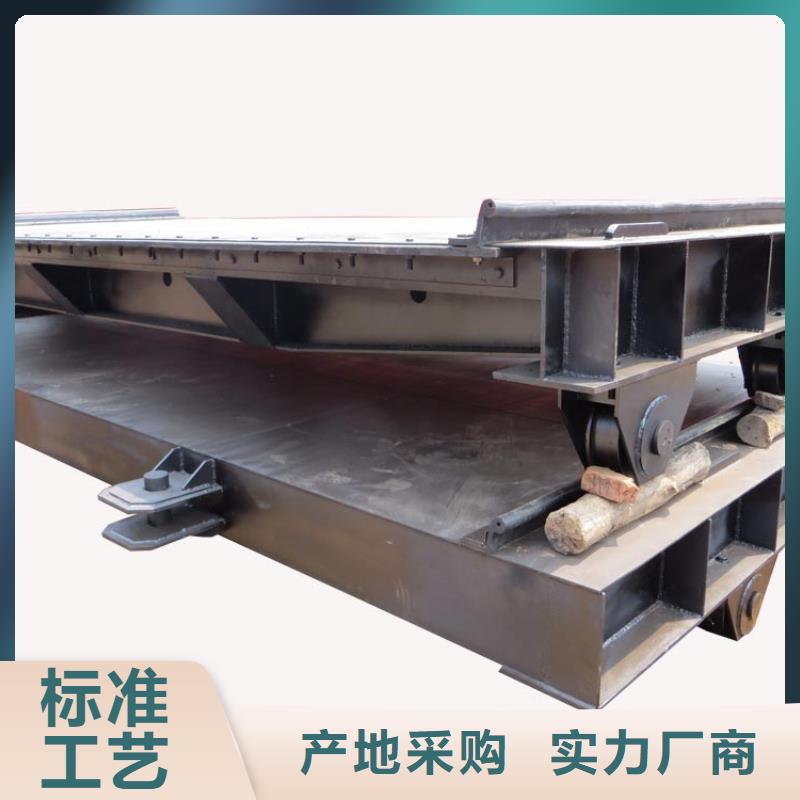 鋼制閘門廠家