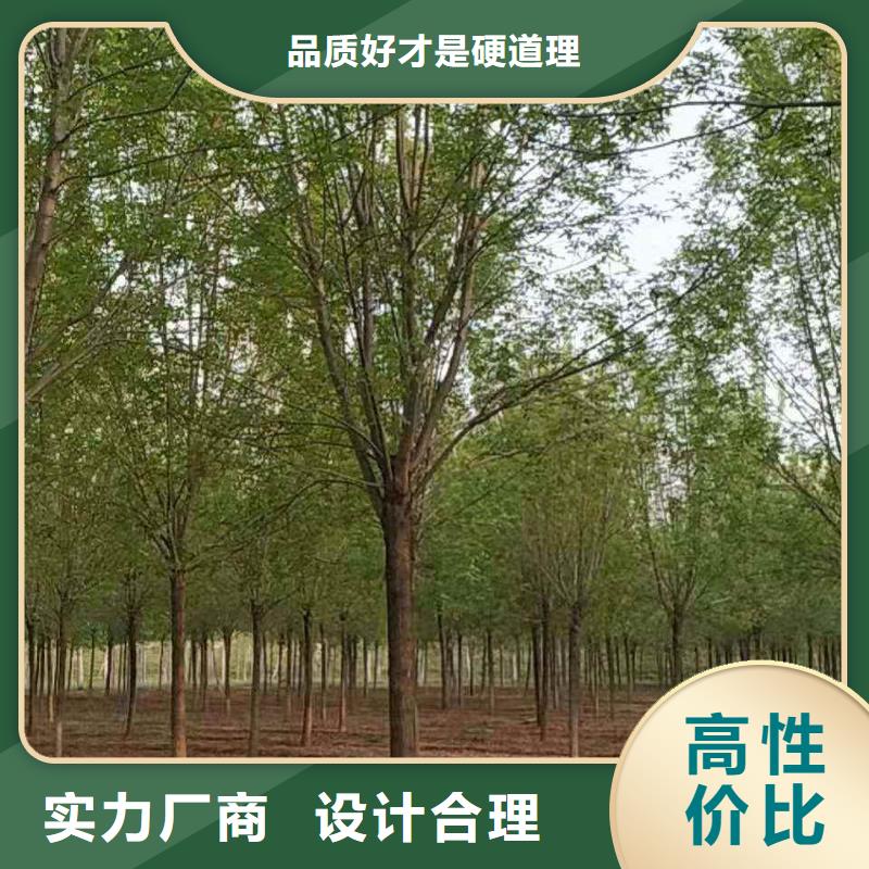 供應白蠟的批發商