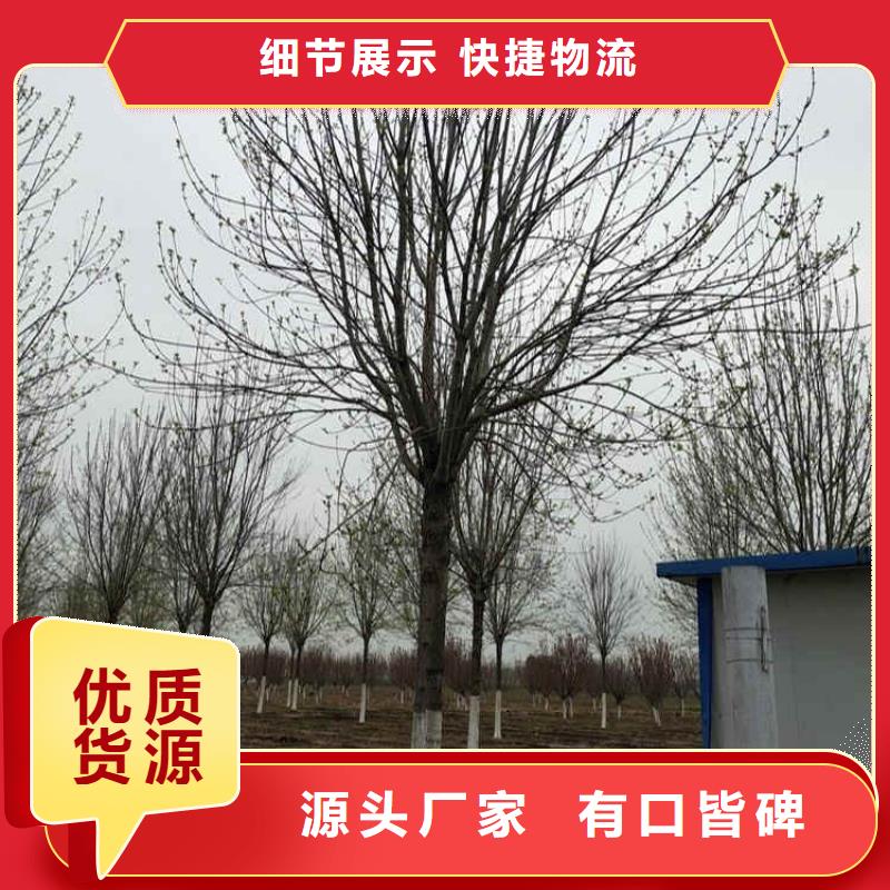 優(yōu)選：白蠟公司