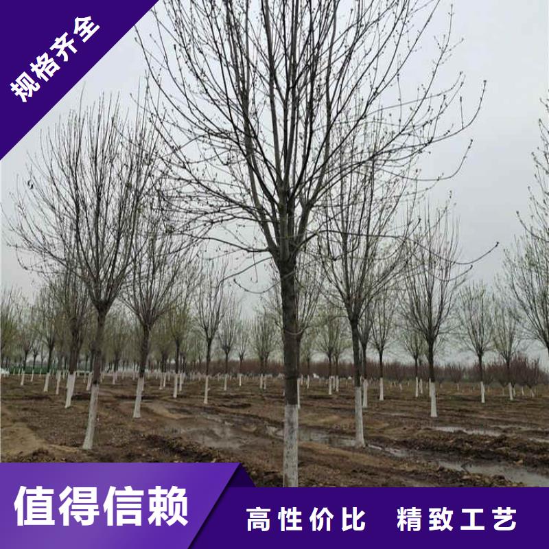 有現(xiàn)貨的白蠟公司