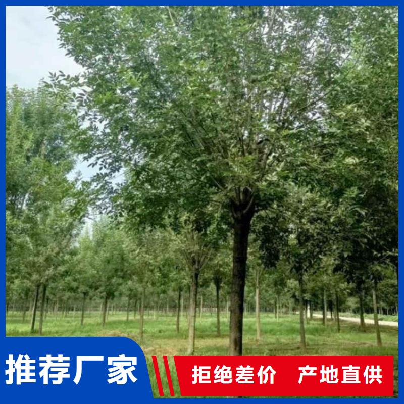 白蠟詳情電話咨詢
