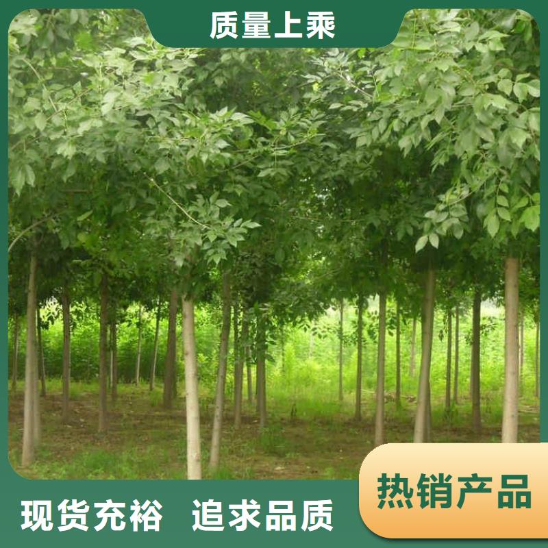 白蠟詳情電話咨詢