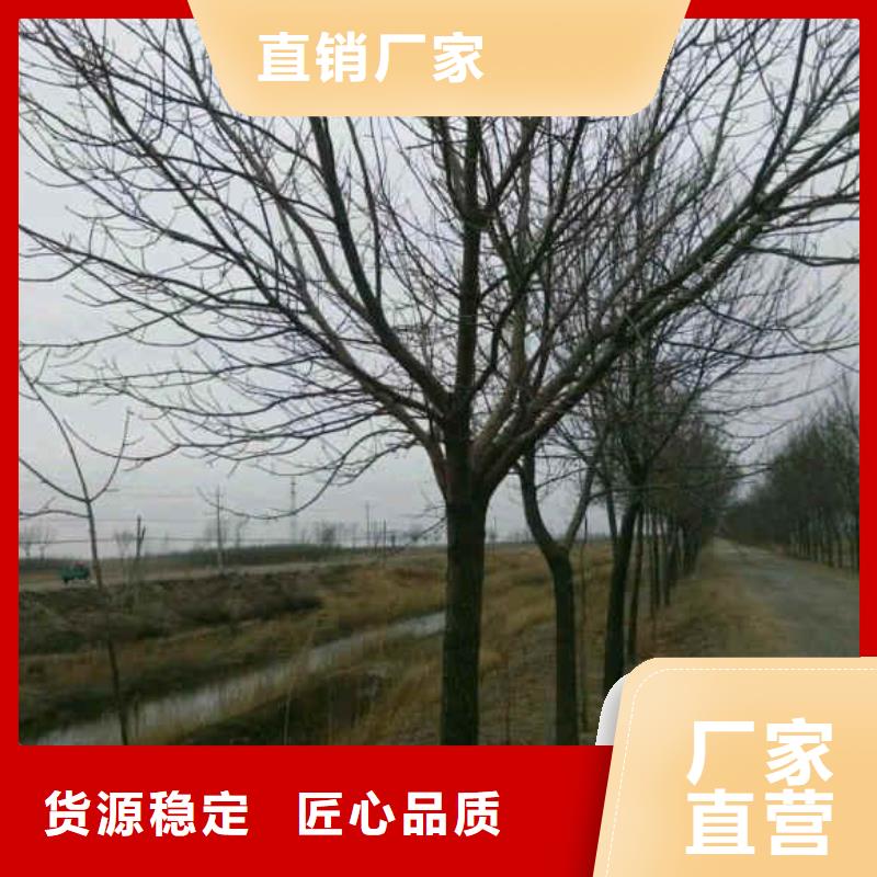 白蠟價格實在的廠家