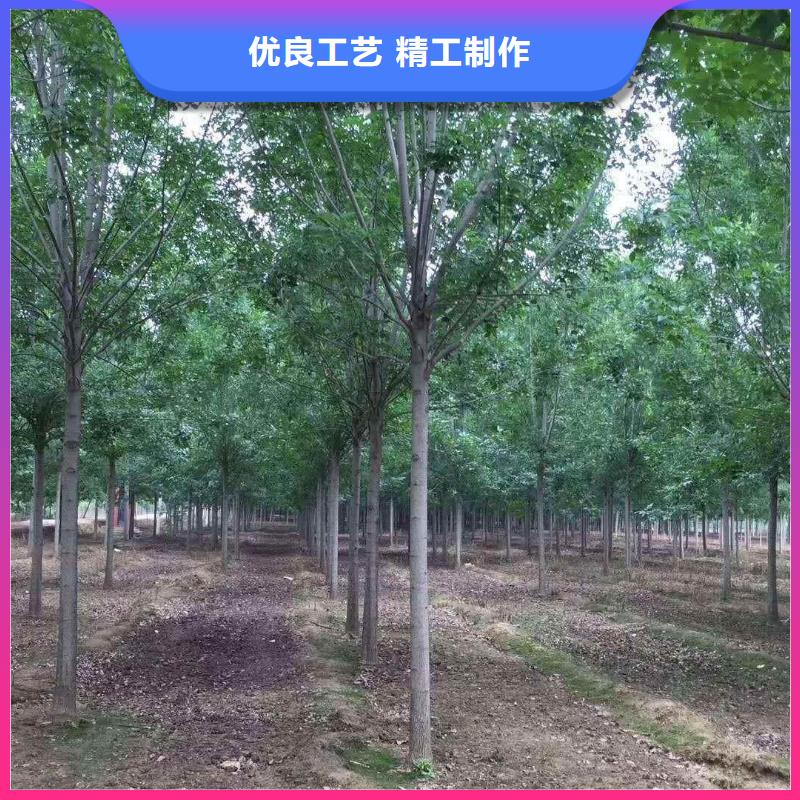 白蠟熱銷貨源