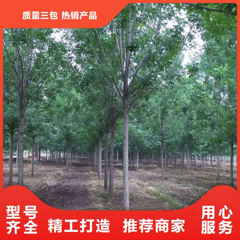 白蠟直銷廠家