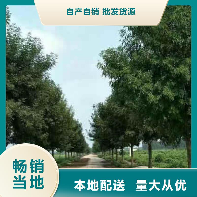 供應(yīng)白蠟的生產(chǎn)廠家