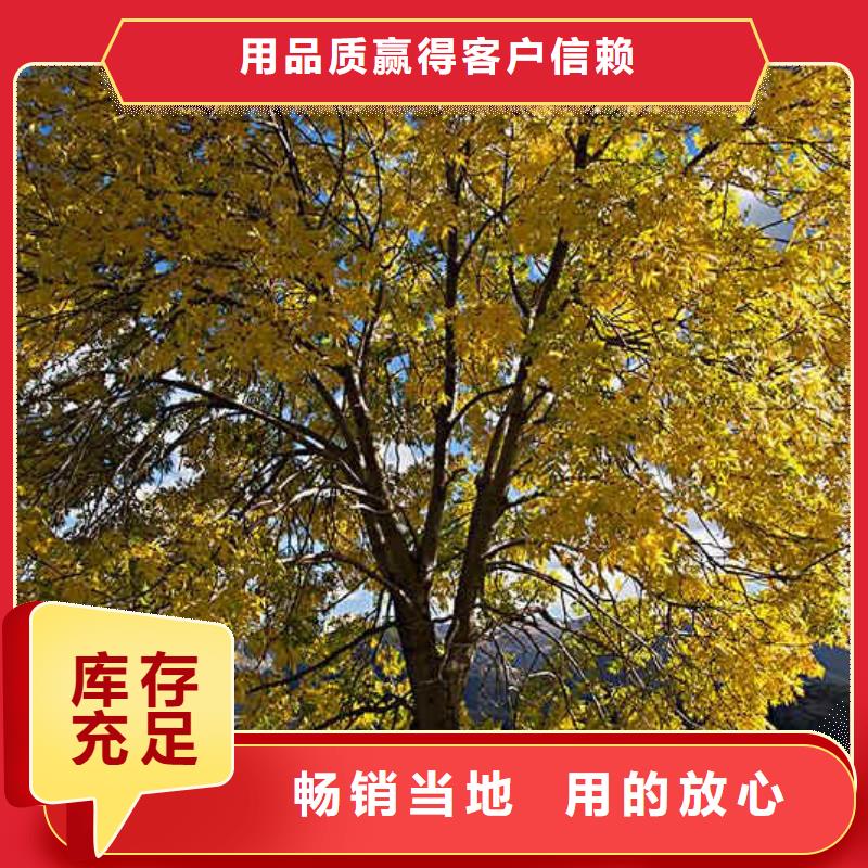 白蠟廠家可開票