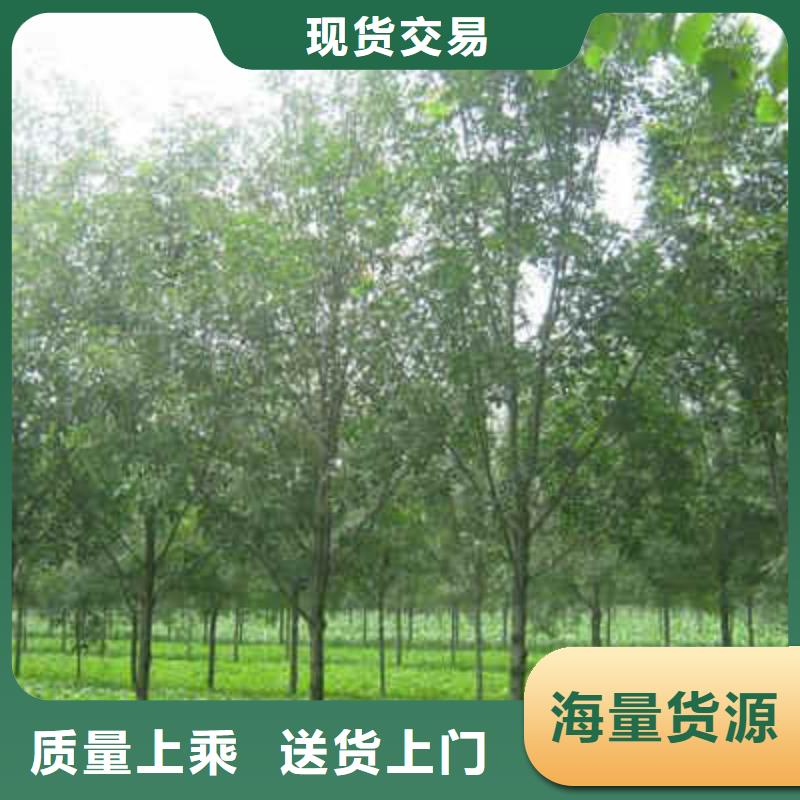 生產(chǎn)白蠟_品牌廠家