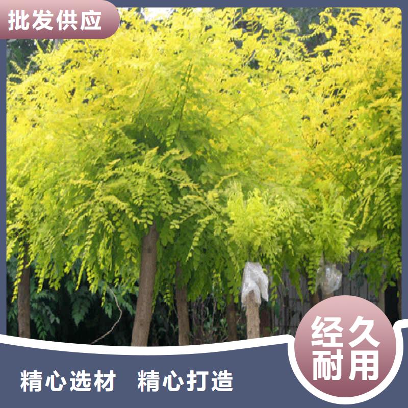 國槐企業-價格優惠