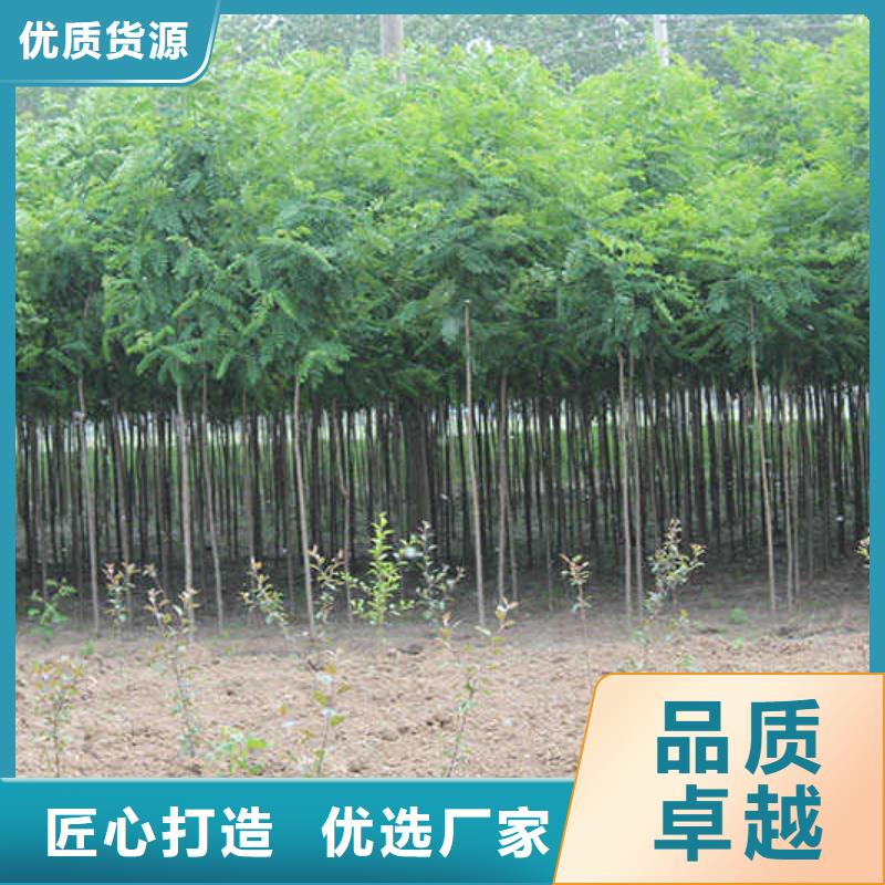 國槐原廠定做