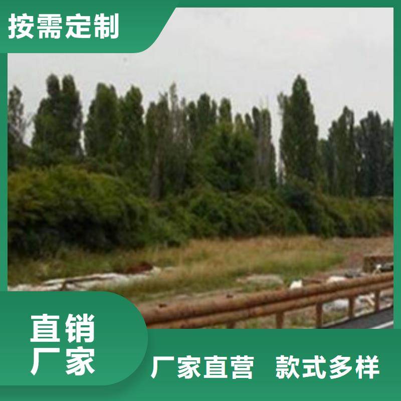鋼背木護欄經銷商