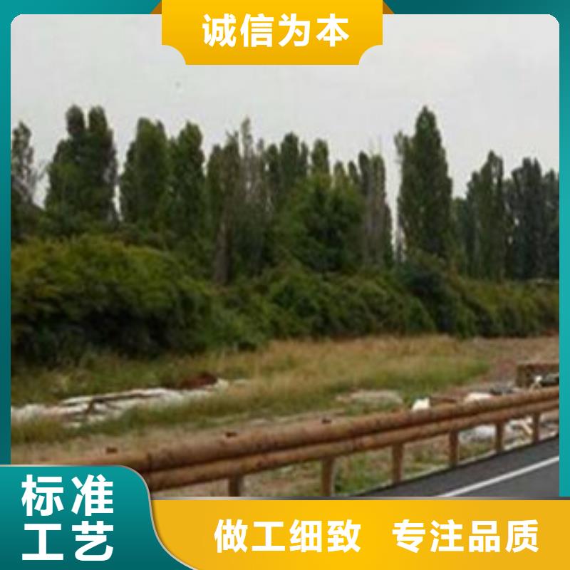 鋼背木護(hù)欄承接公司