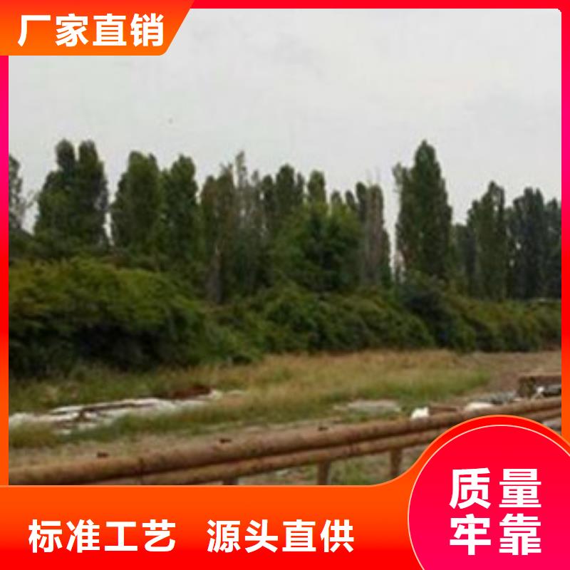 鋼背木護欄質量優質的廠家