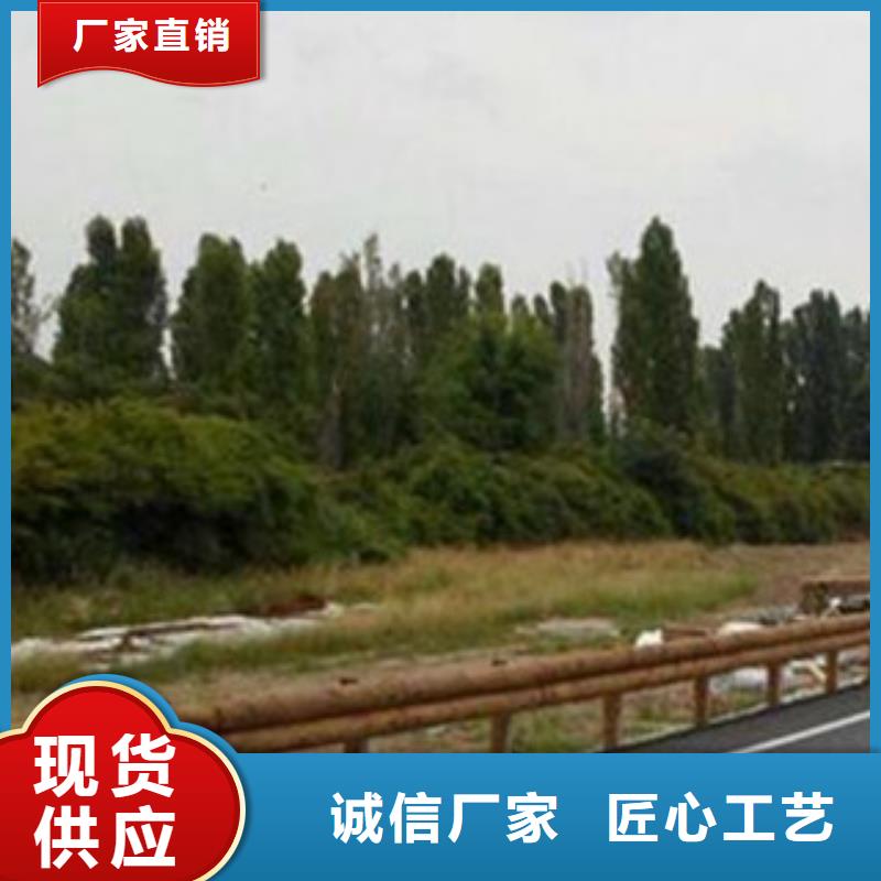 發貨及時的鋼背木護欄公司