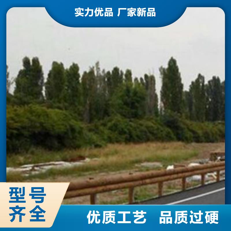 價格合理的鋼背木護欄經銷商