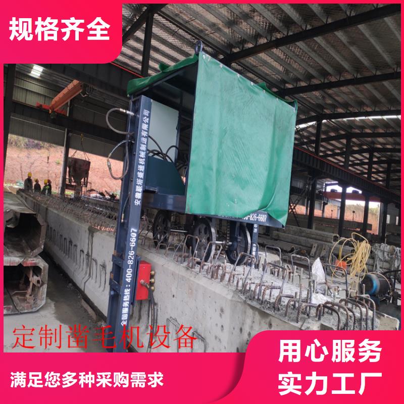 實力雄厚的橋梁鑿毛機生產廠家