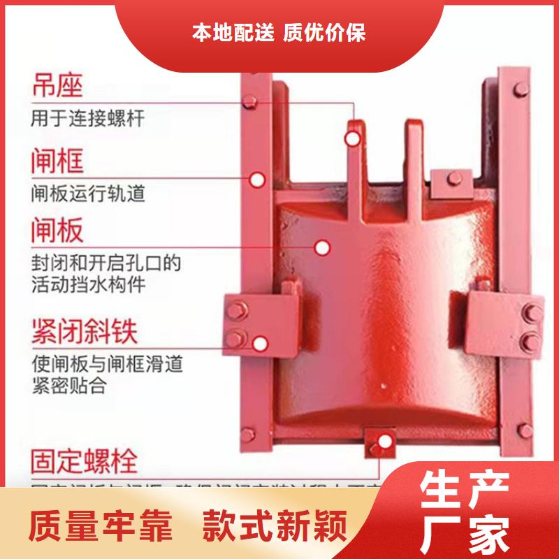 平面滑动铸铁闸门_水利工程专用