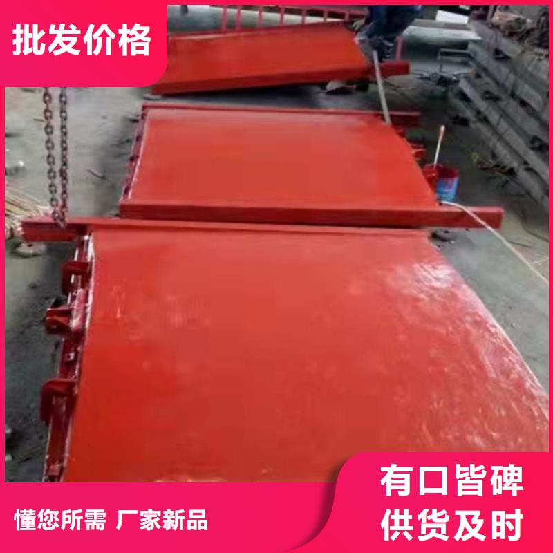鑄鐵閘門實力大廠家