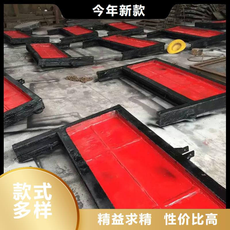 鑄鐵閘門-鑄鐵閘門實力廠家