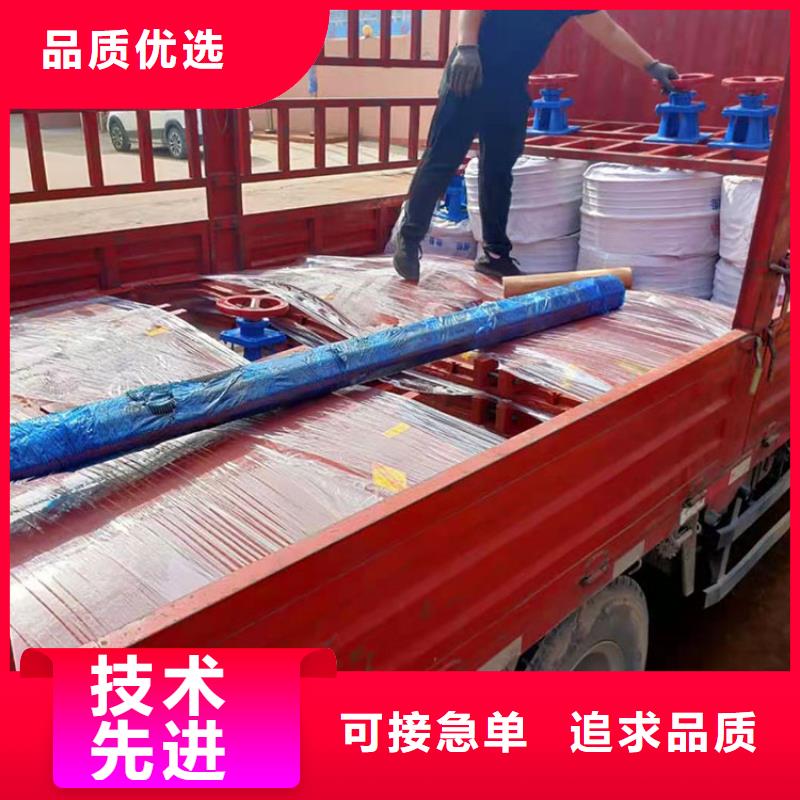 鑄鐵閘門專業(yè)定制