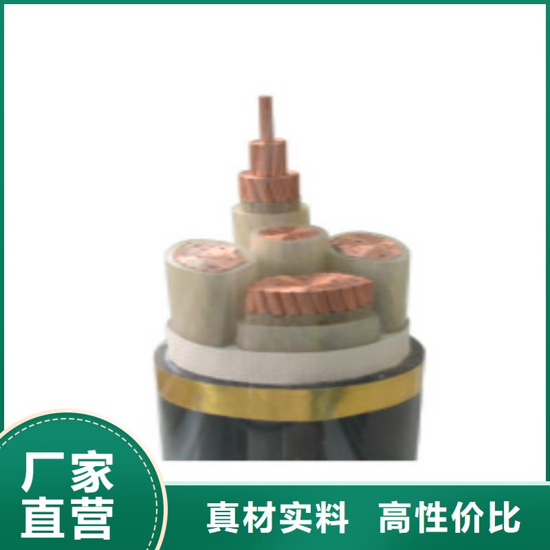 ZA-YJV-22-(B)-(J)0.6/1kV2*10中低压电力电缆生产厂家制造供应商