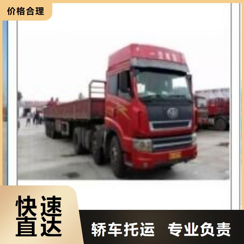电白县到《北京》订购物流公司/快速安全