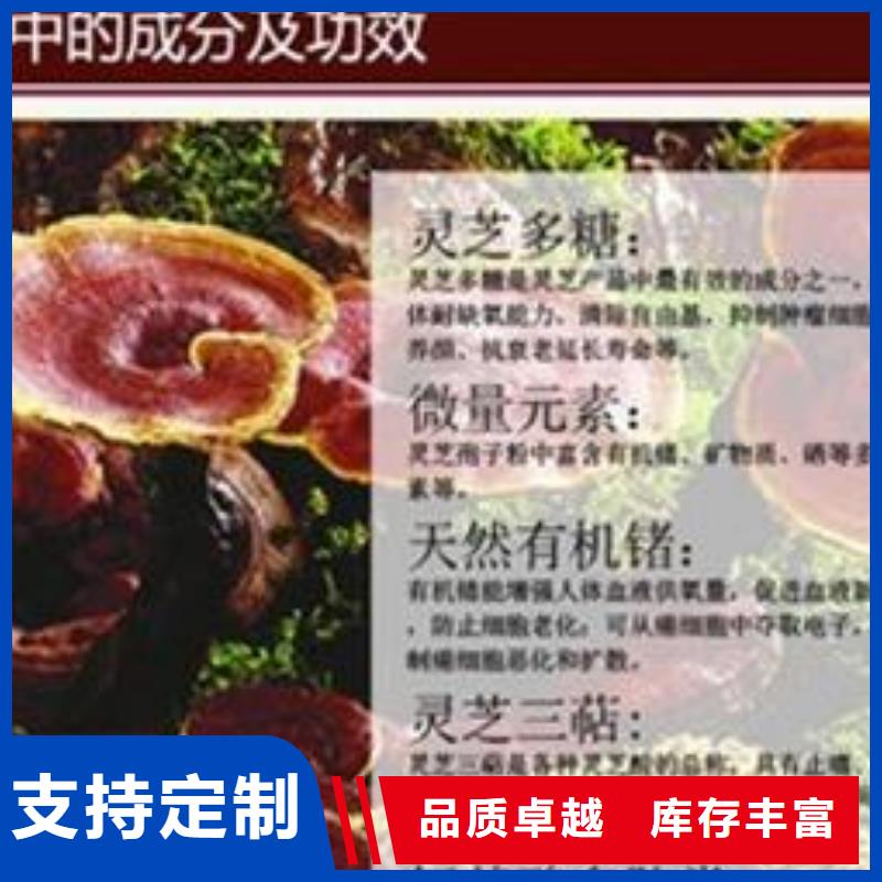 忻州采购破壁灵芝孢子粉绿色食品