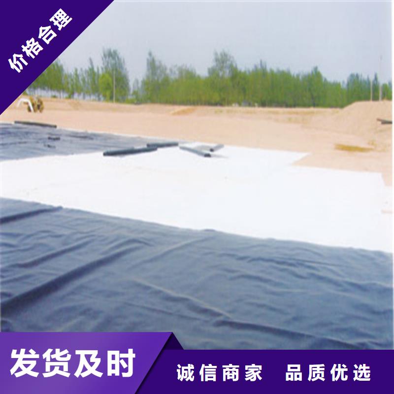 屋顶绿化防渗土工膜生产厂家