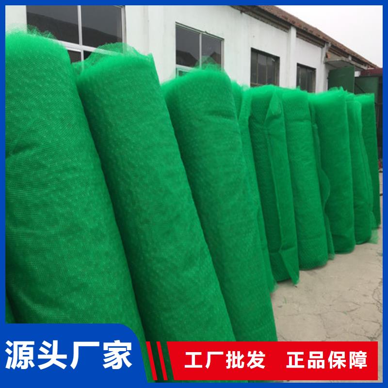 ——芜湖护坡土工网垫生产厂家