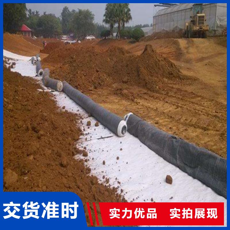 资讯——西藏垃圾填埋场用防水毯股份公司