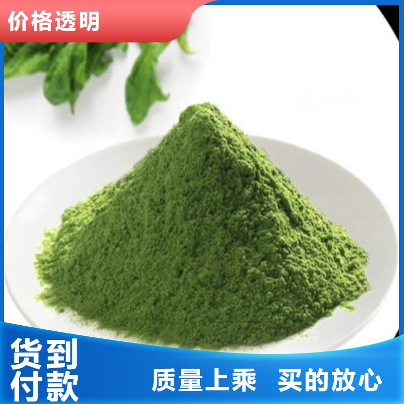 菠菜粉總部