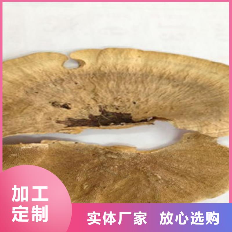 广阳灵芝破壁孢子粉资讯