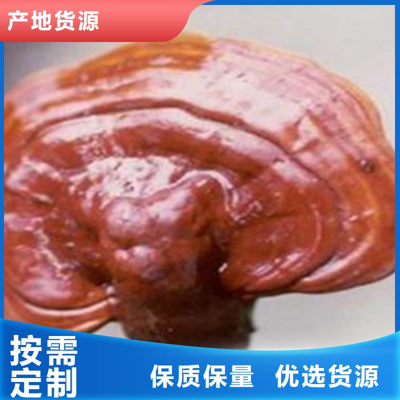 靈芝粉2優選供貨商