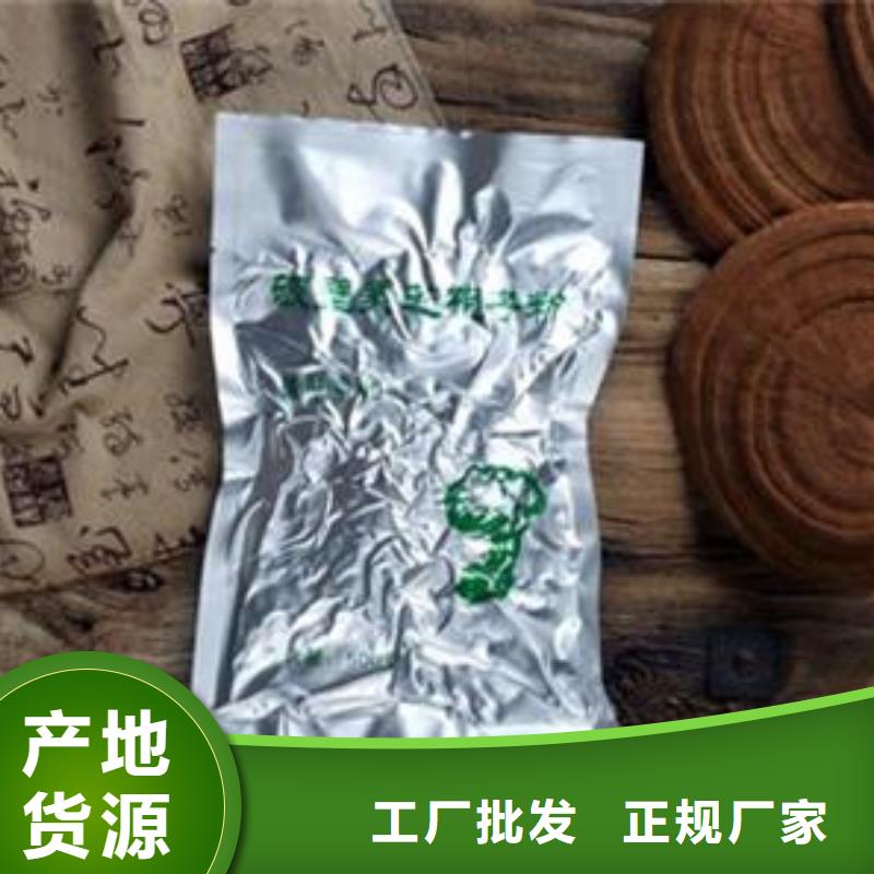 灵芝用途分析符合行业标准