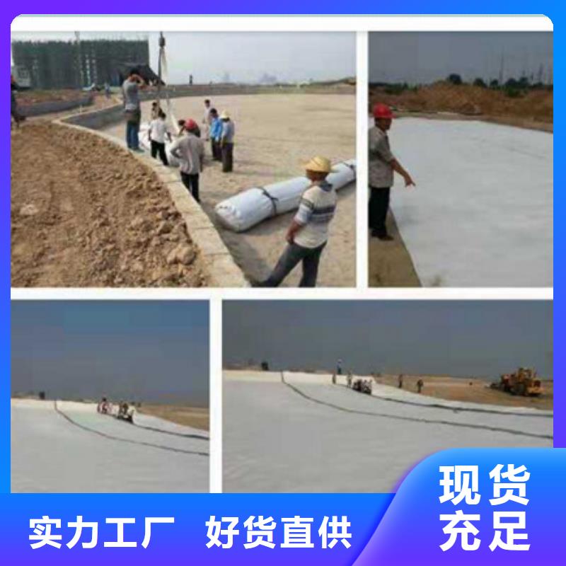 土工格柵價格合理當地廠家