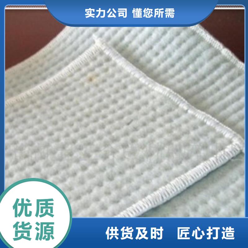 生產(chǎn)膨潤土防水毯的公司