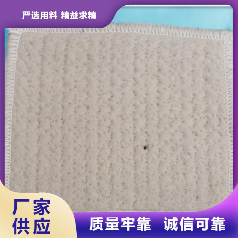 膨潤(rùn)土防水毯-您的優(yōu)選