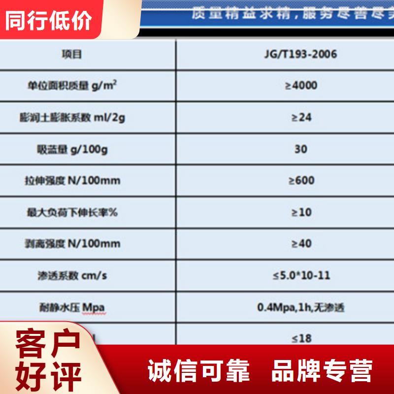 膨润土防水毯规格齐全的厂家