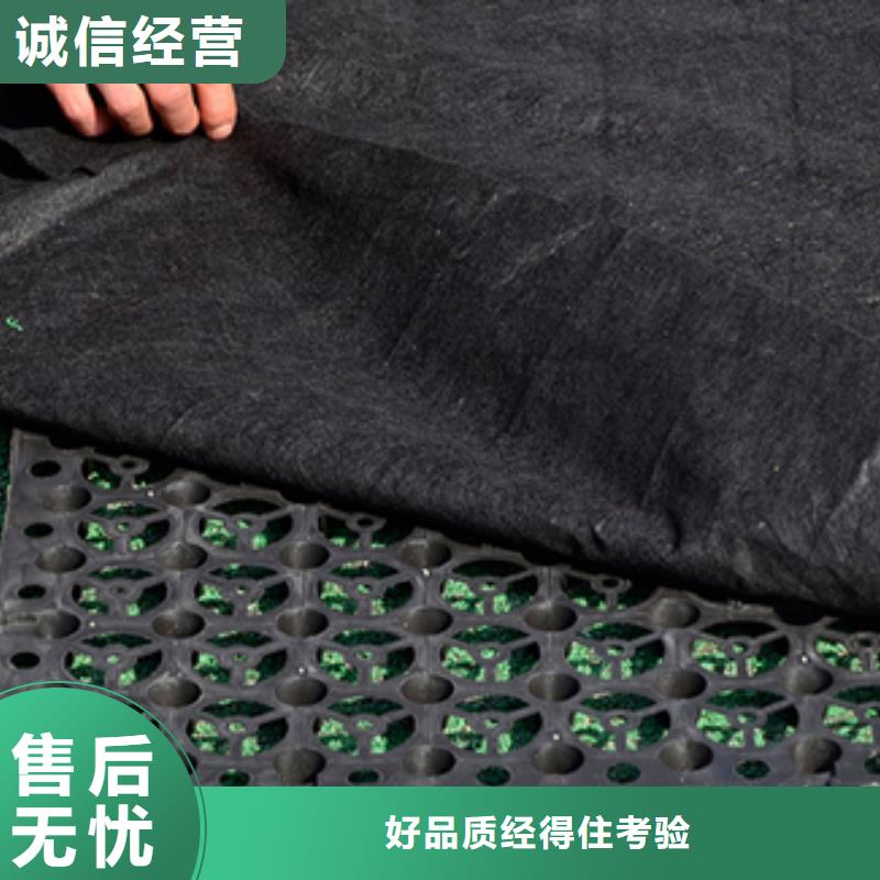 供應排水板-實體廠家可定制
