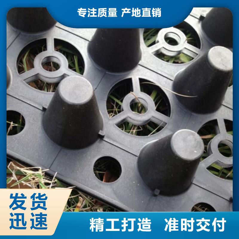 質(zhì)量可靠的排水板廠家
