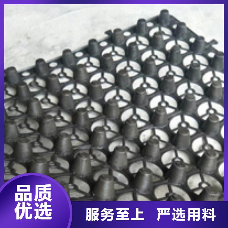 排水板廠家當地廠家