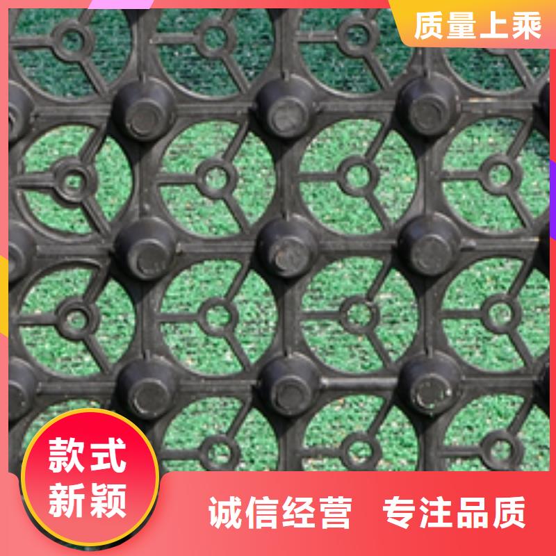 排水板廠家-信守承諾
