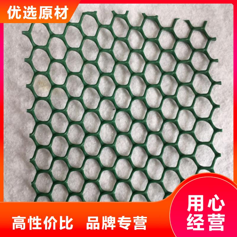 三維植被網(wǎng)口碑-巨匠工程材料有限公司