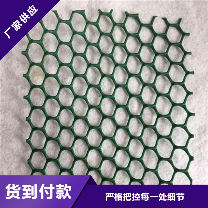 三維水土保護(hù)毯綠化多少錢