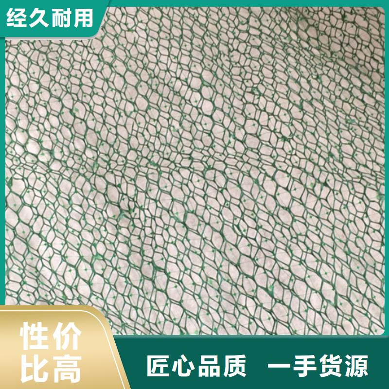塑料三維植被網怎么賣的