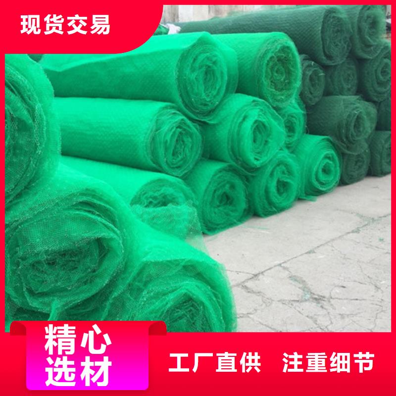 塑料三維植被網渠道
