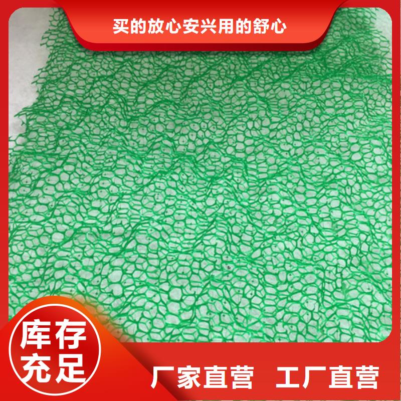 7020型水土保護毯生產廠家