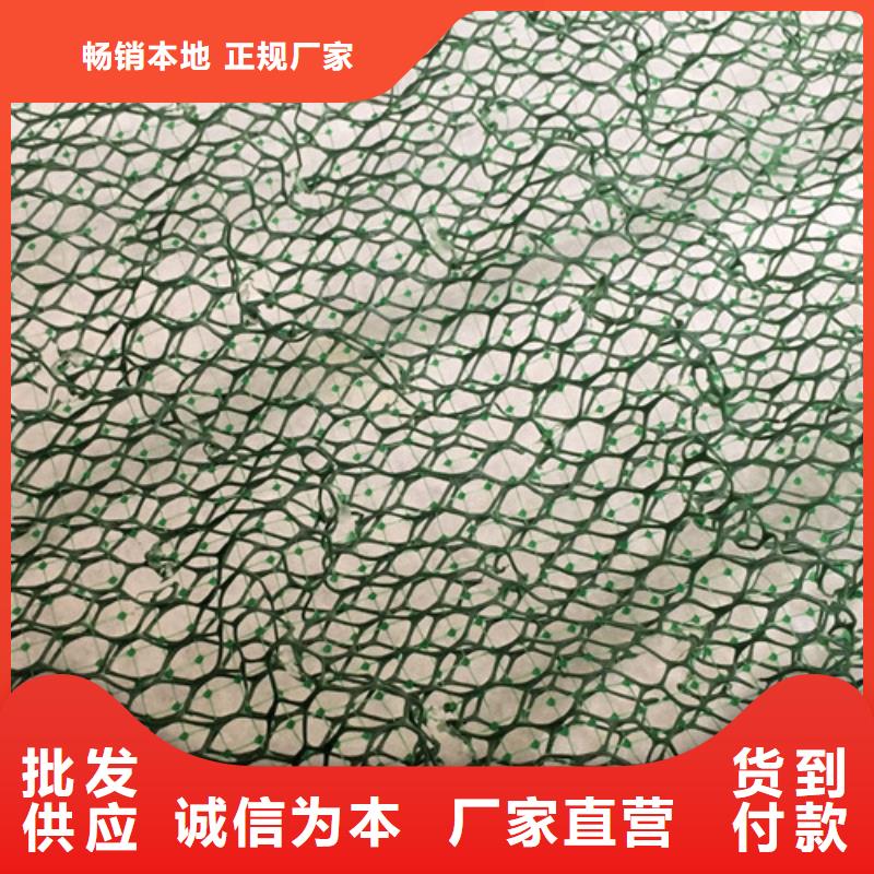 三維水土保護毯怎么賣的
