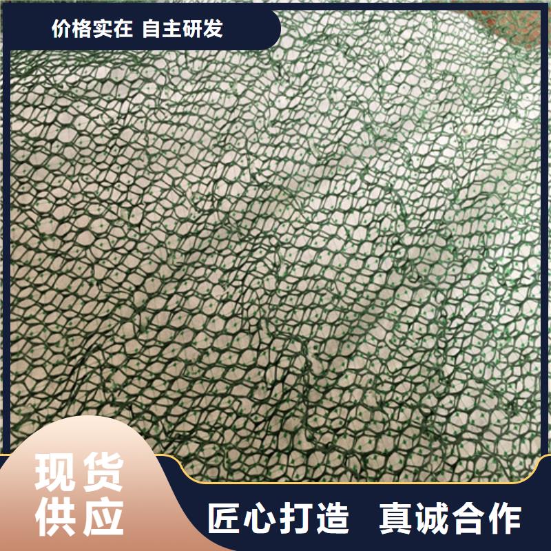 三維水土保護毯本地現貨